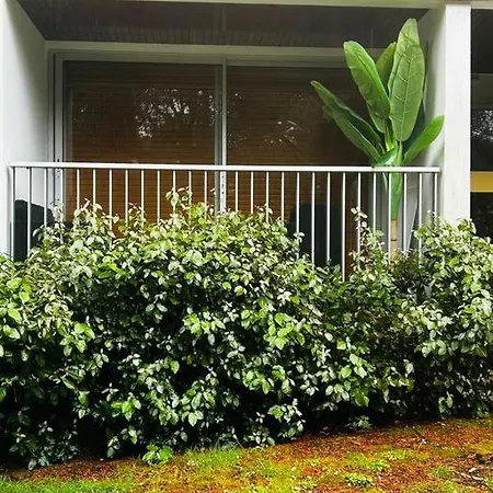 Appartement Les Pins - La Plage Duplex Luxe