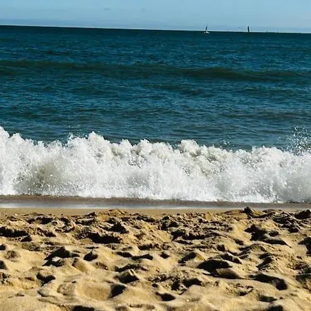 Appartement Les Pins - La Plage Duplex Luxe *